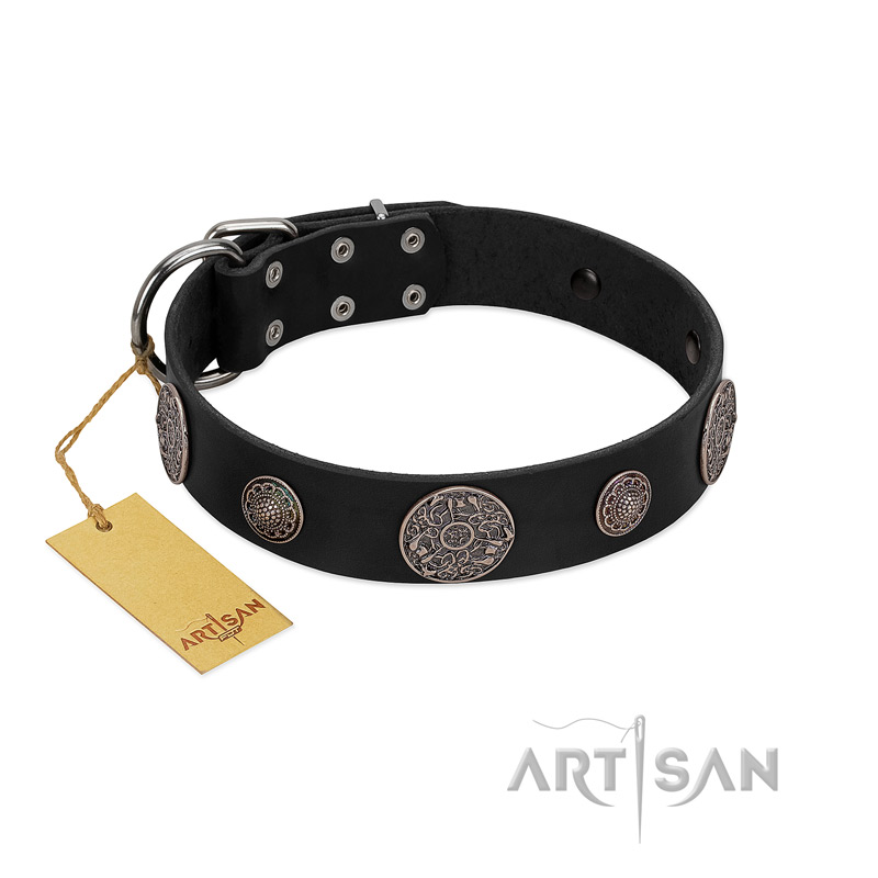 "Ad Infinitum" Durable FDT Artisan Black Leather Collie Collar with Chrome Plated Brooches