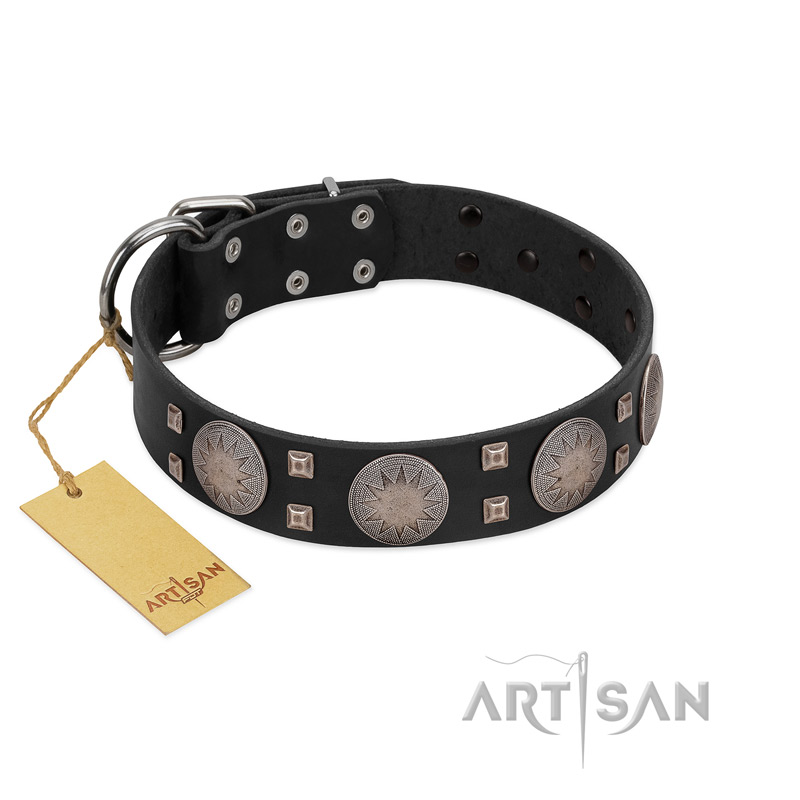 "Sun in Shining" Modern FDT Artisan Black Leather Collie Collar with Studs and Stars - Click Image to Close