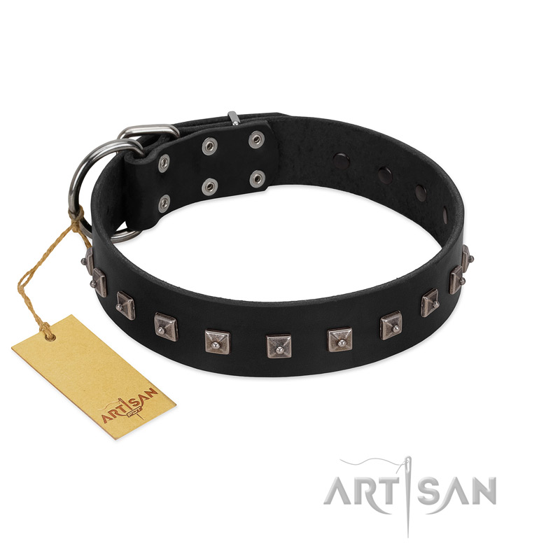 "Natural Beauty" Premium Quality FDT Artisan Black Designer Collie Collar with Dotted Studs