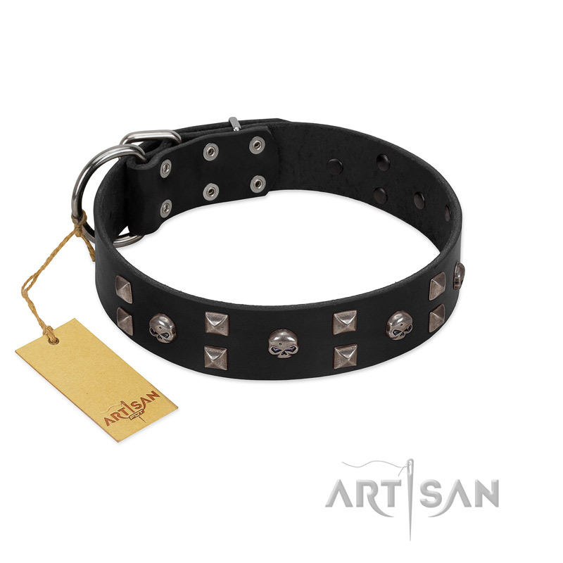 "Fire Eyes" Designer Handmade FDT Artisan Black Leather Collie Collar