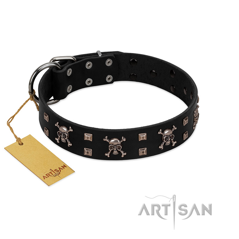 "Black Jack" Stylish Handmade FDT Artisan Black Leather Collie Collar