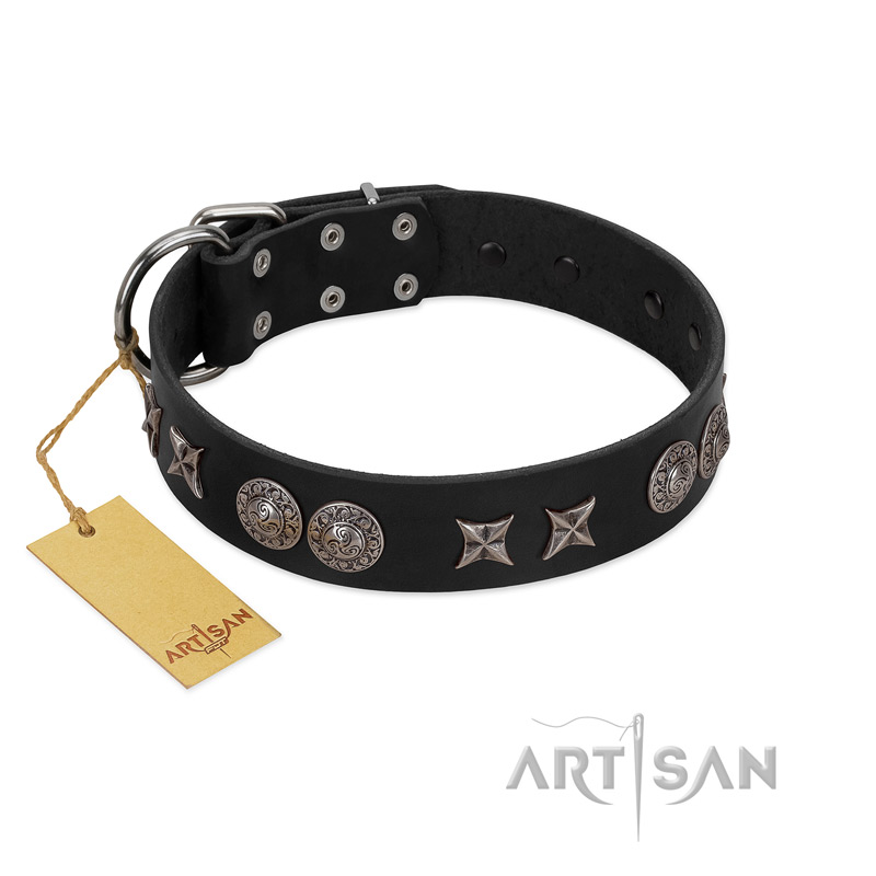 "Scythian Silver" Stylish Handmade FDT Artisan Black Leather Collie Collar