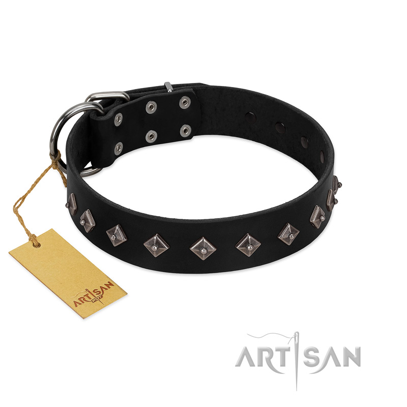 "Immense Power" Handcrafted FDT Artisan Black Leather Collie Collar with Small Dotted Pyramids