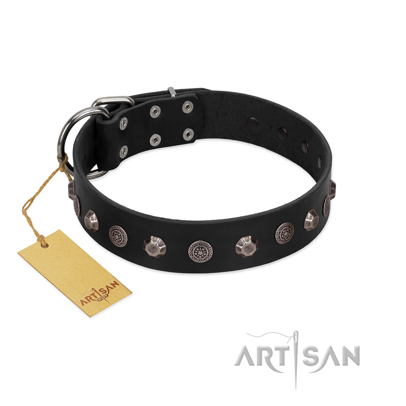 "Black Knight" Handmade FDT Artisan Black Leather Collie Collar with Silver-Like Studs