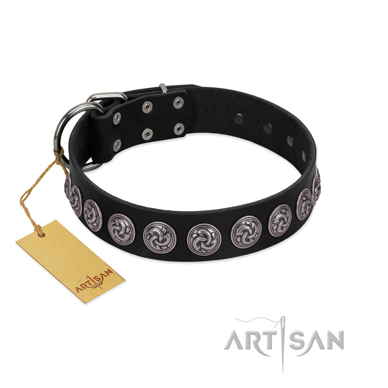 "Black Raven" Handmade FDT Artisan Black Leather Collie Collar with Silver-Like Adornments