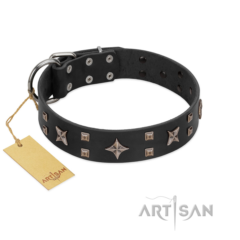 "Star Excitement" Modern FDT Artisan Black Leather Collie Collar with Studs and Stars