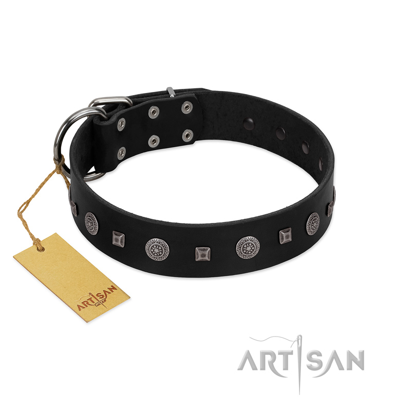 "Mr. Elegance" Designer FDT Artisan Black Leather Collie Collar with Silver-Like Studs