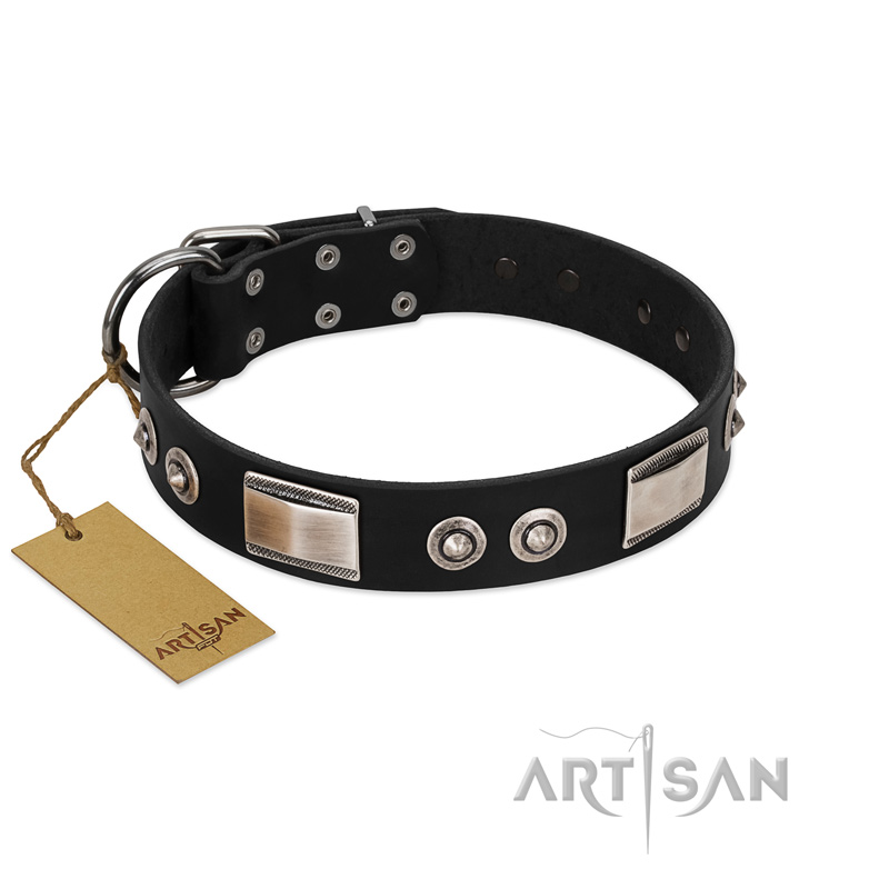 "Grand Wear" FDT Artisan Black Leather Collie Collar with Shining Plates and Spiked Studs