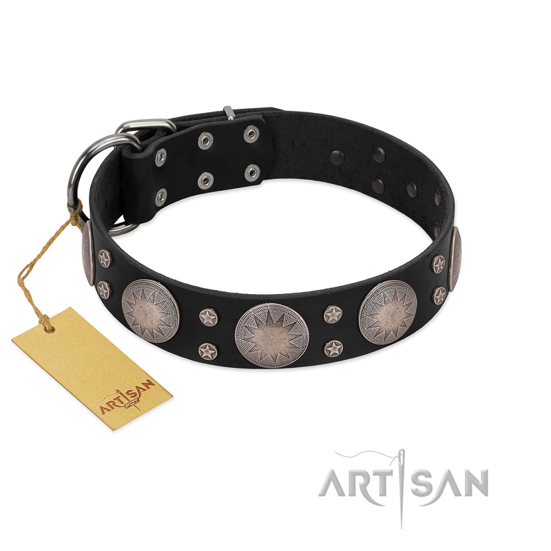 "Starry Sky" Trendy FDT Artisan Black Leather Collie Collar with Large Brooches
