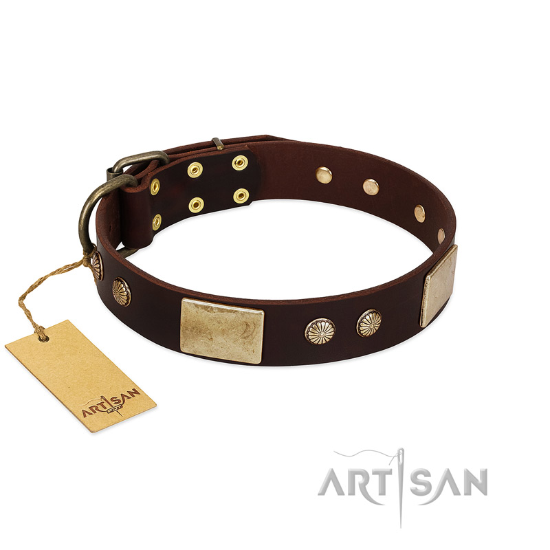 "Middle Age" FDT Artisan Brown Leather Collie Collar with Old Bronze-Plated Engraved Flowers and Large Plates