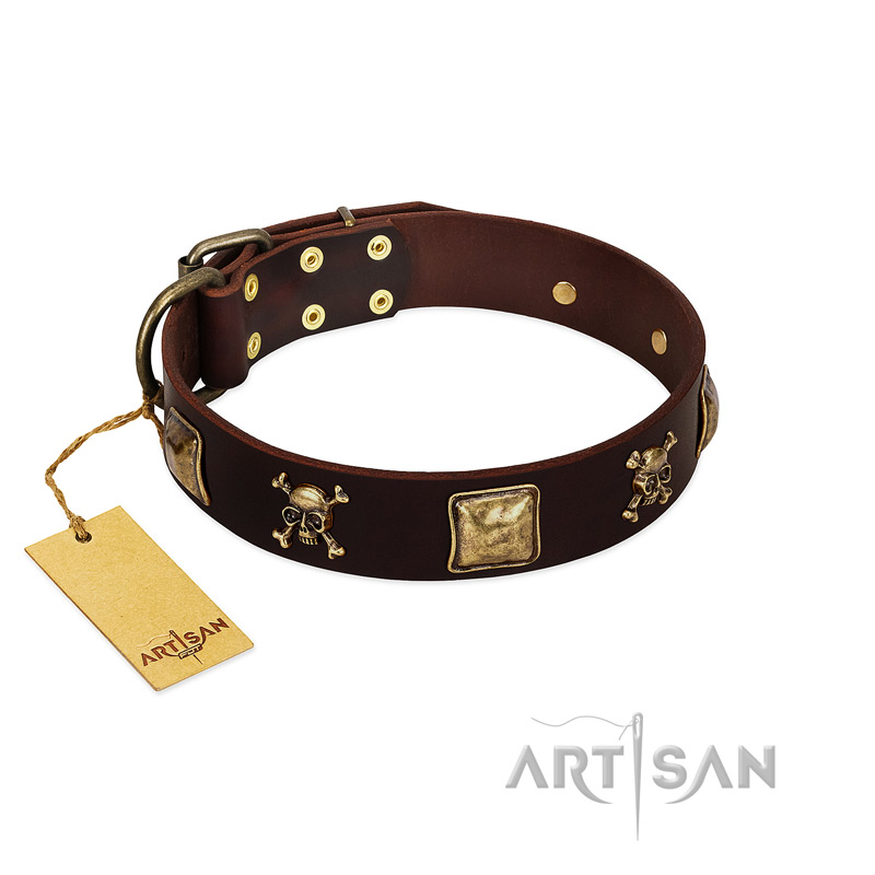 "Crazy Pirate" FDT Artisan Brown Leather Collie Collar with Old Bronze-Plated Skulls and Plates