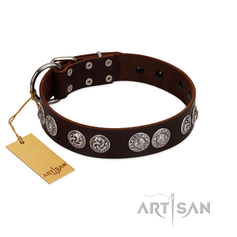 "High and Mighty" FDT Artisan Classy Brown Leather Collie Collar with Embellished Brooches