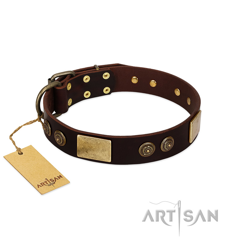 "Bow-Wow Effect" FDT Artisan Brown Leather Collie Collar with Plates and Ornate Studs - Click Image to Close