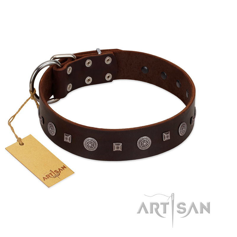 "Pure Sensation" Exclusive FDT Artisan Brown Leather Collie Collar with Fancy Brooches and Studs