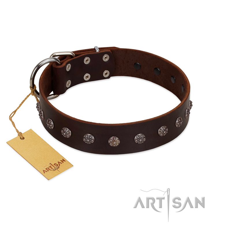 "Graceful Classic" Mod FDT Artisan Brown Leather Collie Collar - Click Image to Close