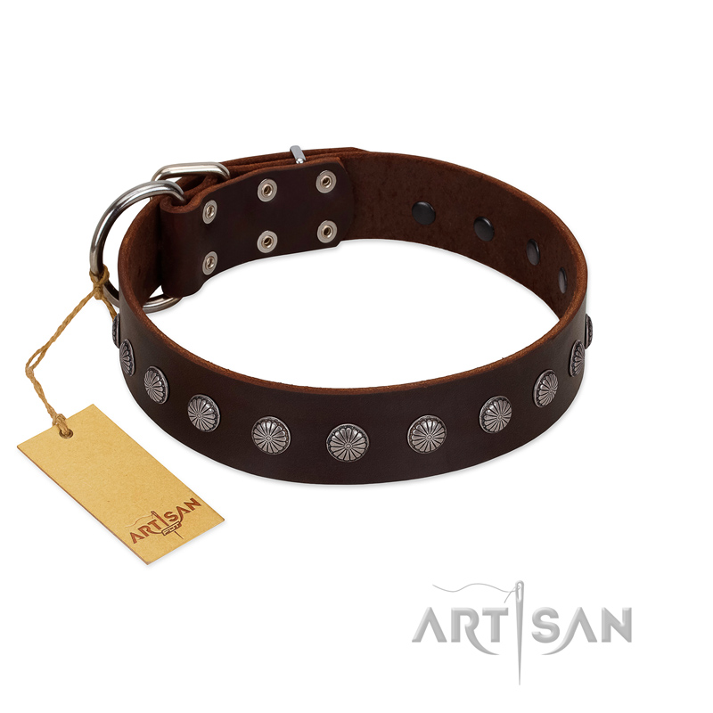 "Spring Flower" Stylish FDT Artisan Brown Leather Collie Collar for Comfy Walks