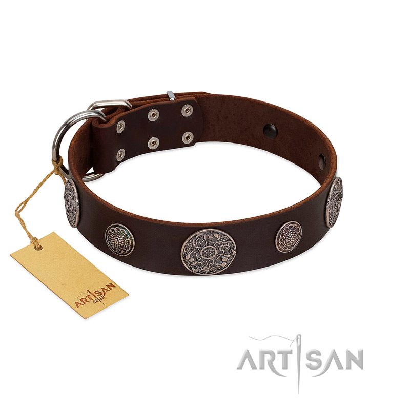 "Flashy Woof" FDT Artisan Brown Leather Collie Collar with Chrome Plated Brooches