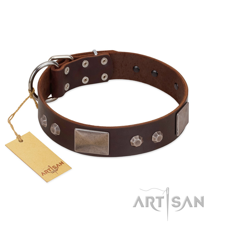 "Stone Stars" Stylish Handmade FDT Artisan Brown Leather Collie Collar