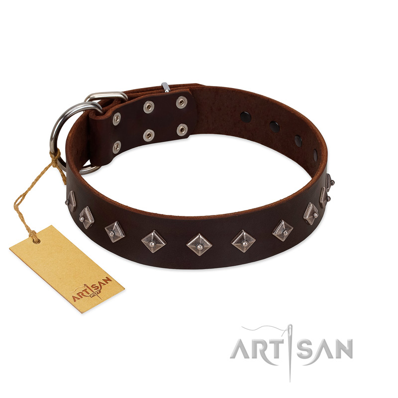 "Boundless Energy" Premium Quality FDT Artisan Brown Designer Leather Collie Collar with Small Pyramids