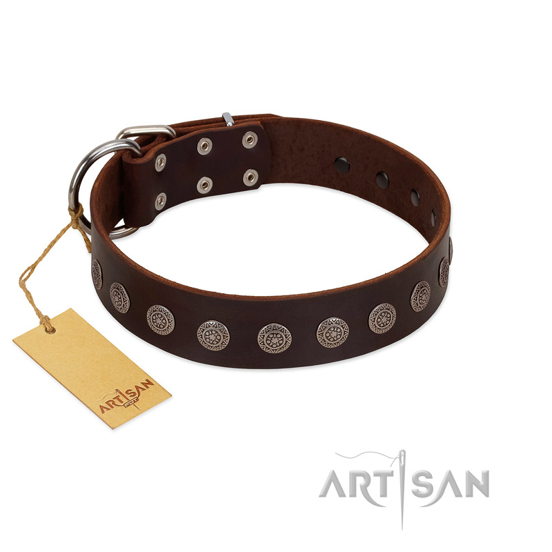 "Starry-Eyed" Best Quality FDT Artisan Brown Designer Leather Collie Collar with Small Plates