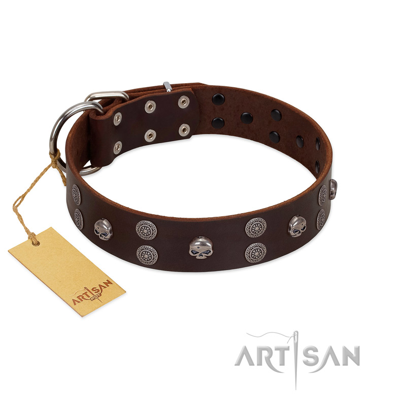 "Skull Valley" Handcrafted FDT Artisan Brown Leather Collie Collar with Skulls