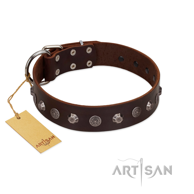 "Dark Chocolate" Handmade FDT Artisan Brown Leather Collie Collar with Studs