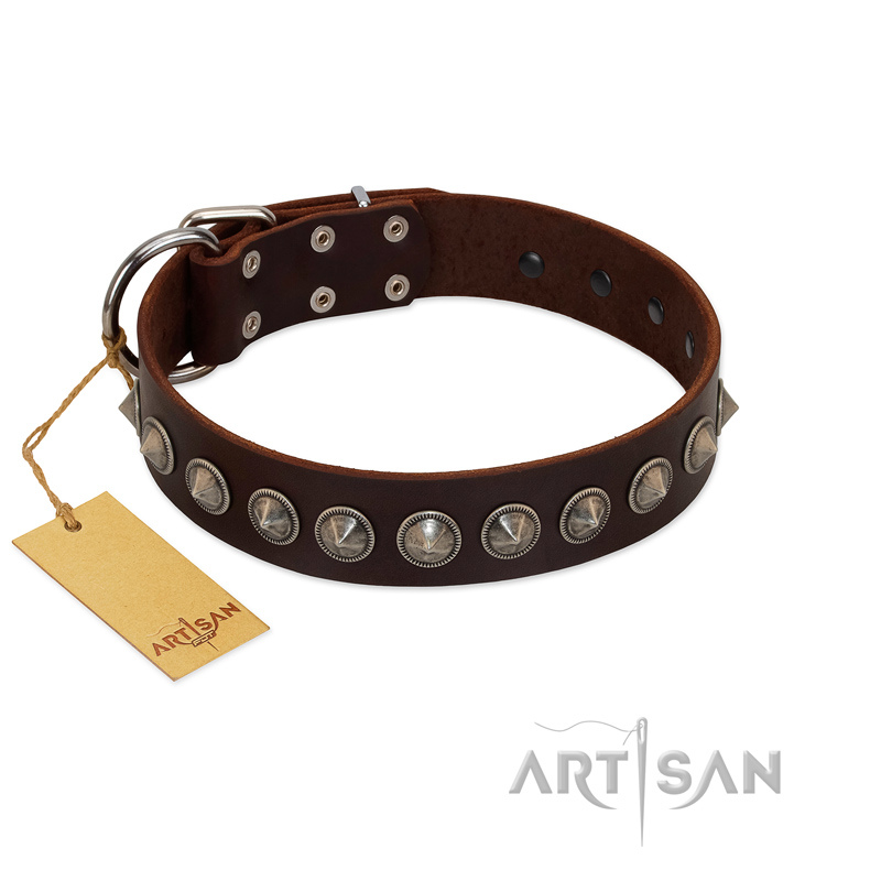 "Gothic Style" FDT Artisan Fancy Brown Leather Collie Collar with Silver-Like Decorations