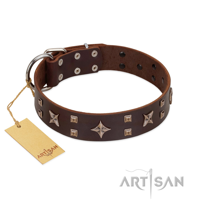 "Stars in Sands" Modern FDT Artisan Brown Leather Collie Collar with Studs and Stars - Click Image to Close