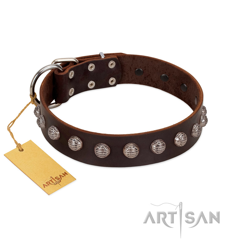"Lucky Silver" Designer Handmade FDT Artisan Brown Leather Collie Collar