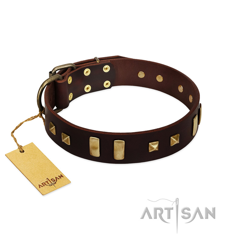 "Choco Delight" FDT Artisan Brown Leather Collie Collar with Old Bronze-like Plates and Studs