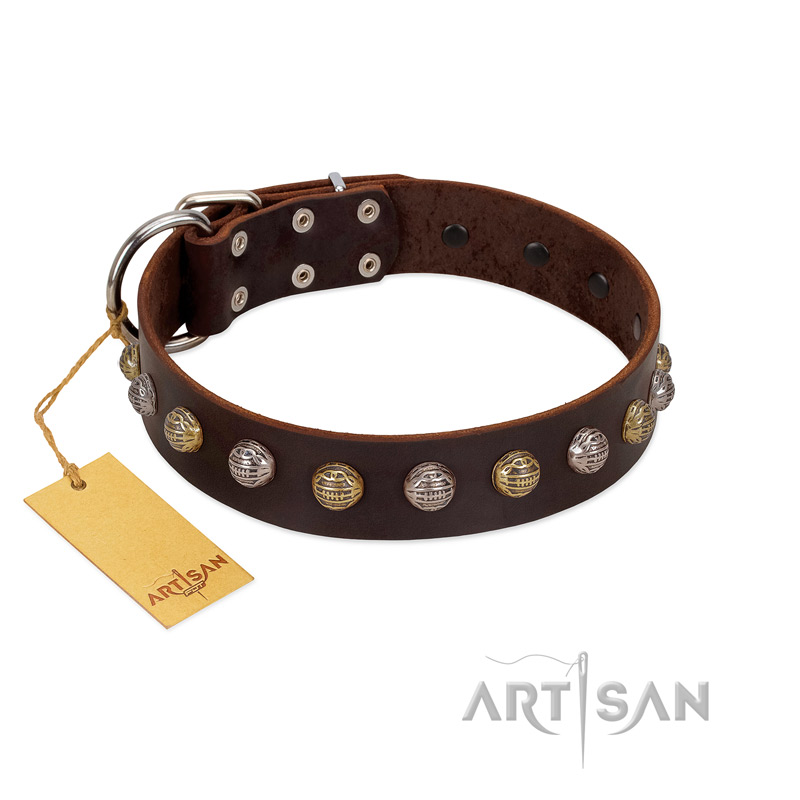"Gape Buster" FDT Artisan Brown Leather Collie Collar with One Row of Studs