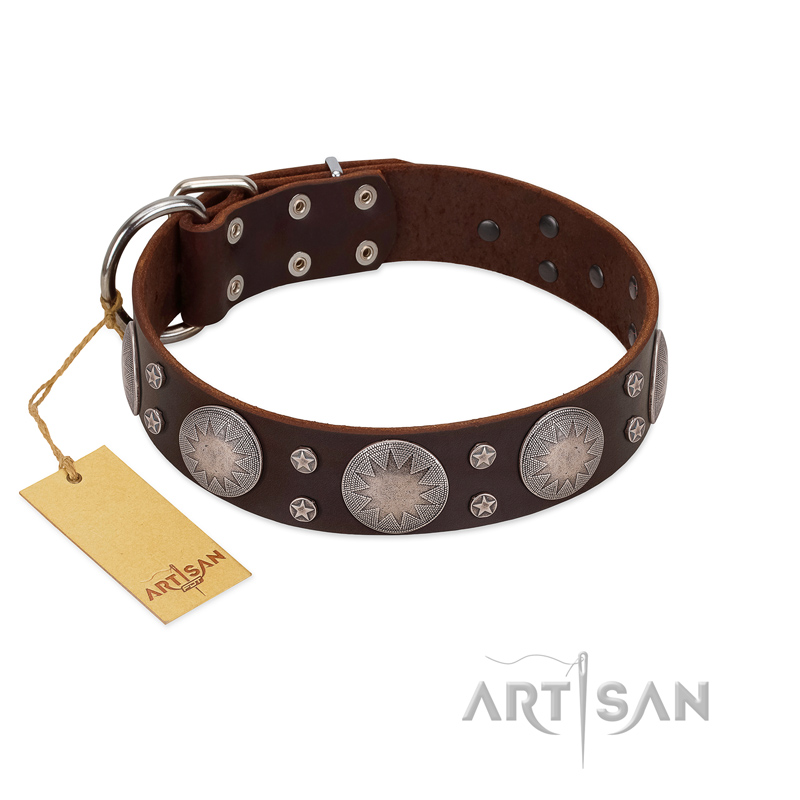 "Imperial Legate" FDT Artisan Brown Leather Collie Collar with Big Round Plates