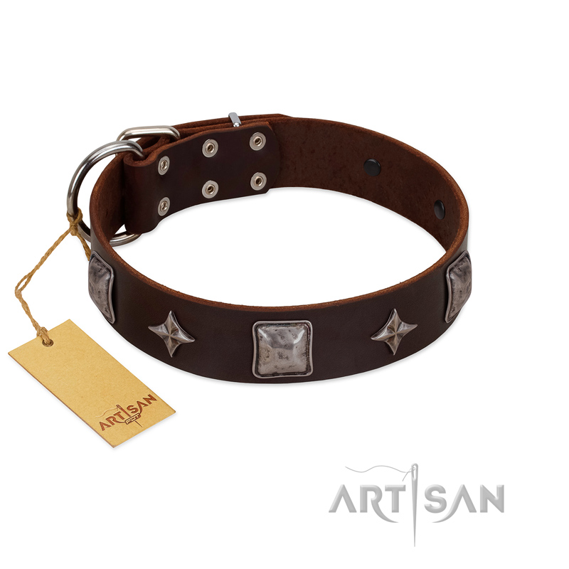 "Cold Star" Designer FDT Artisan Brown Leather Collie Collar with Silver-Like Adornments