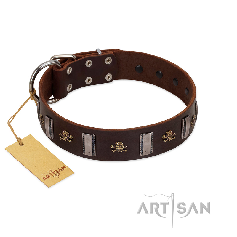 "War Chief" FDT Artisan Genuine Brown Leather Collie Collar with Skulls and Plates