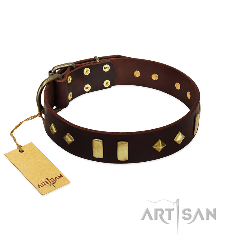 "Blinking Illusion" FDT Artisan Brown Leather Collie Collar with Old Bronze-like Studs and Plates