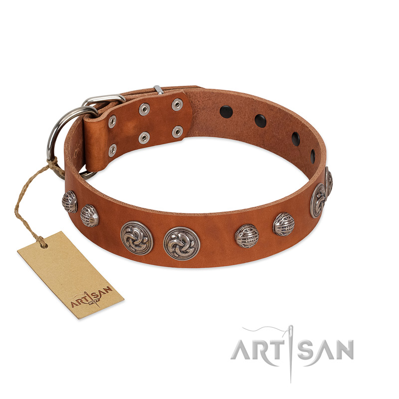 "Era Infinitum" FDT Artisan Tan Leather Collie Collar Adorned with Chrome-plated Circles