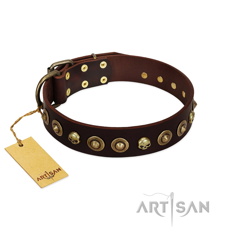 "Street Fashion" FDT Artisan Brown Leather Collie Collar Adorned with Circles and Skulls