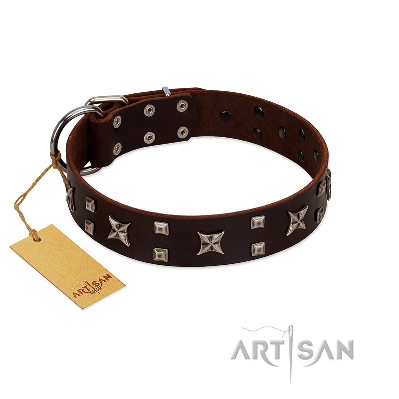 "Bigwig Woof" FDT Artisan Brown Leather Collie Collar with Chrome Plated Stars and Square Studs