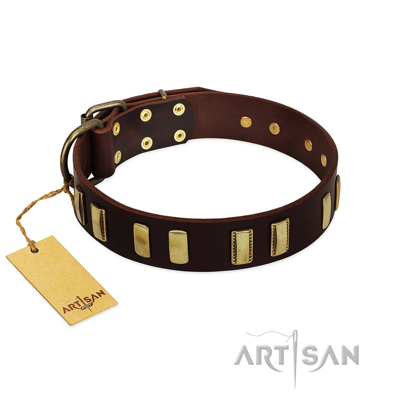 "Peace and Harmony" FDT Artisan Brown Leather Collie Collar with Plates