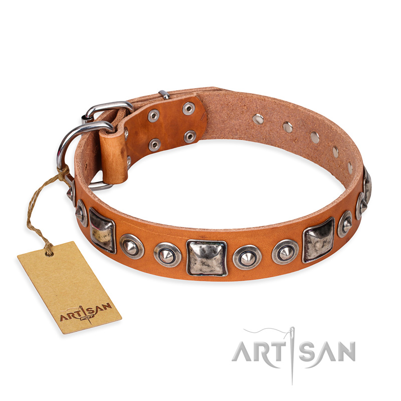 "Era of Future" FDT Artisan Handcrafted Tan Leather Collie Collar with Decorations