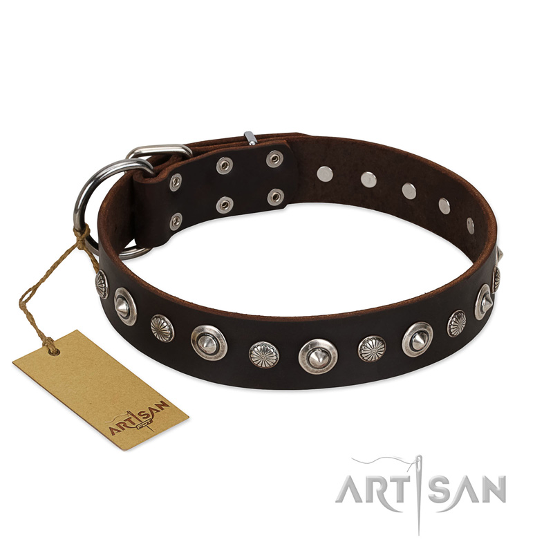 "Gorgeous Shields" FDT Artisan Brown Leather Collie Collar with Old Silver-like Circles and Small Camomiles