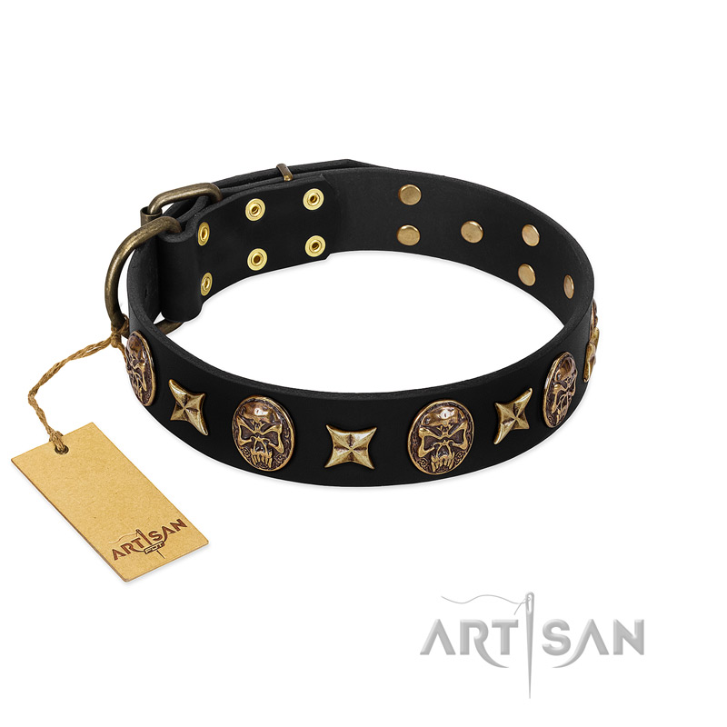 "Starry Saga" FDT Artisan Black Leather Collie Collar with Stars and Skulls - Click Image to Close