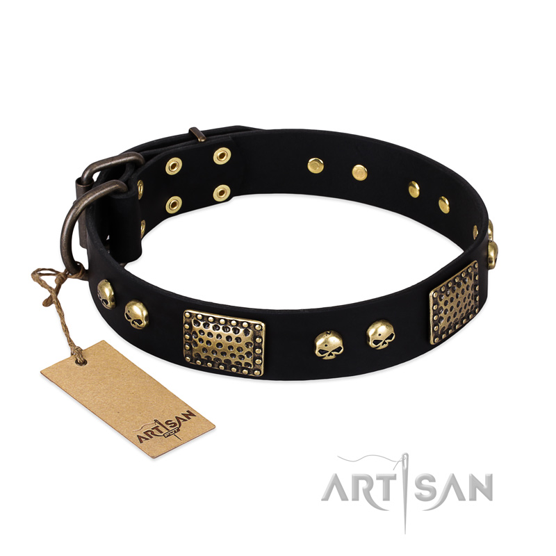 "Biker Style" FDT Artisan Black Leather Collie Collar with Old Bronze Look Plates and Skulls