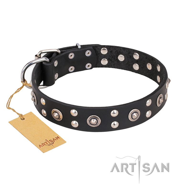 "Refined Essence" FDT Artisan Black Leather Collie Collar with Silvery Studs