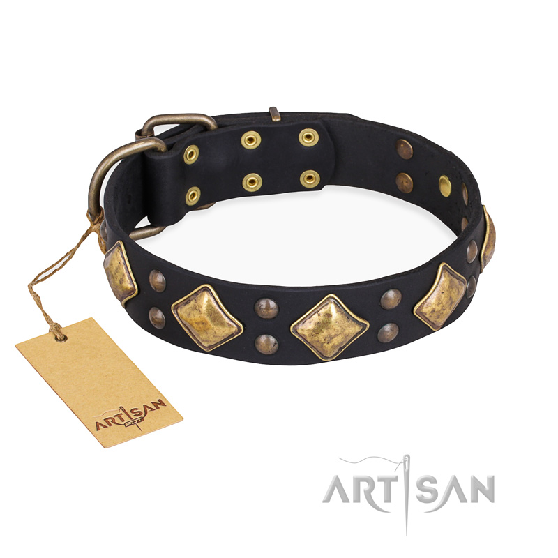 "Fancy-Schmancy" FDT Artisan Studded Leather Collie Collar