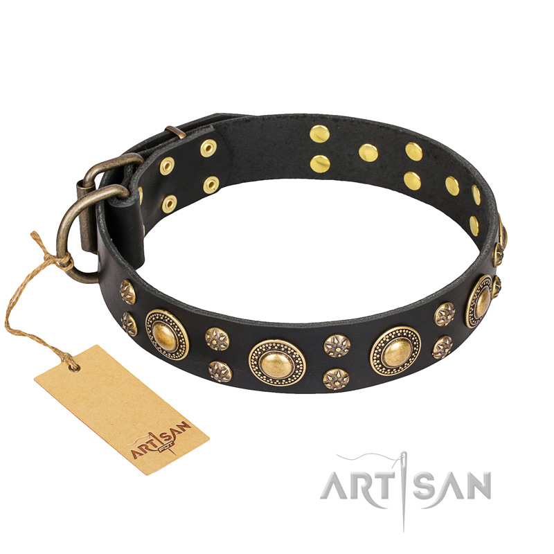 "Baroque Chic" FDT Artisan Studded Black Leather Collie Collar