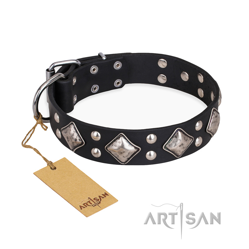 "Smart Geometry" FDT Artisan Studded Leather Collie Collar