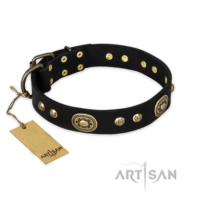 "High Fashion" FDT Artisan Studded with Plates Black Leather Collie Collar