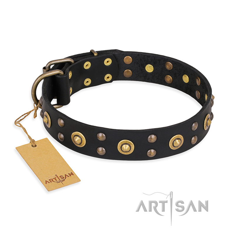 "Cosmic Glow" FDT Artisan Black Leather Collie Collar with Brass-Plated Studs