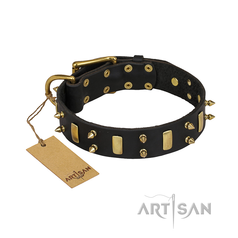 "Medieval Style" FDT Artisan Leather Collie Collar with Brass Plated Plates and Spikes